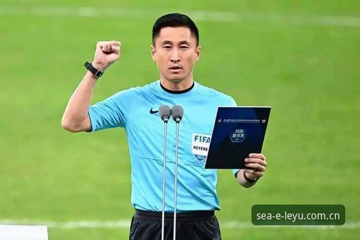 乐鱼体育世界杯观赛进阶指南：从马宁的判罚哲学看懂裁判圈的生存法则